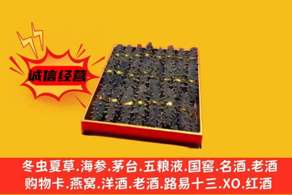 保定安新县回收海参